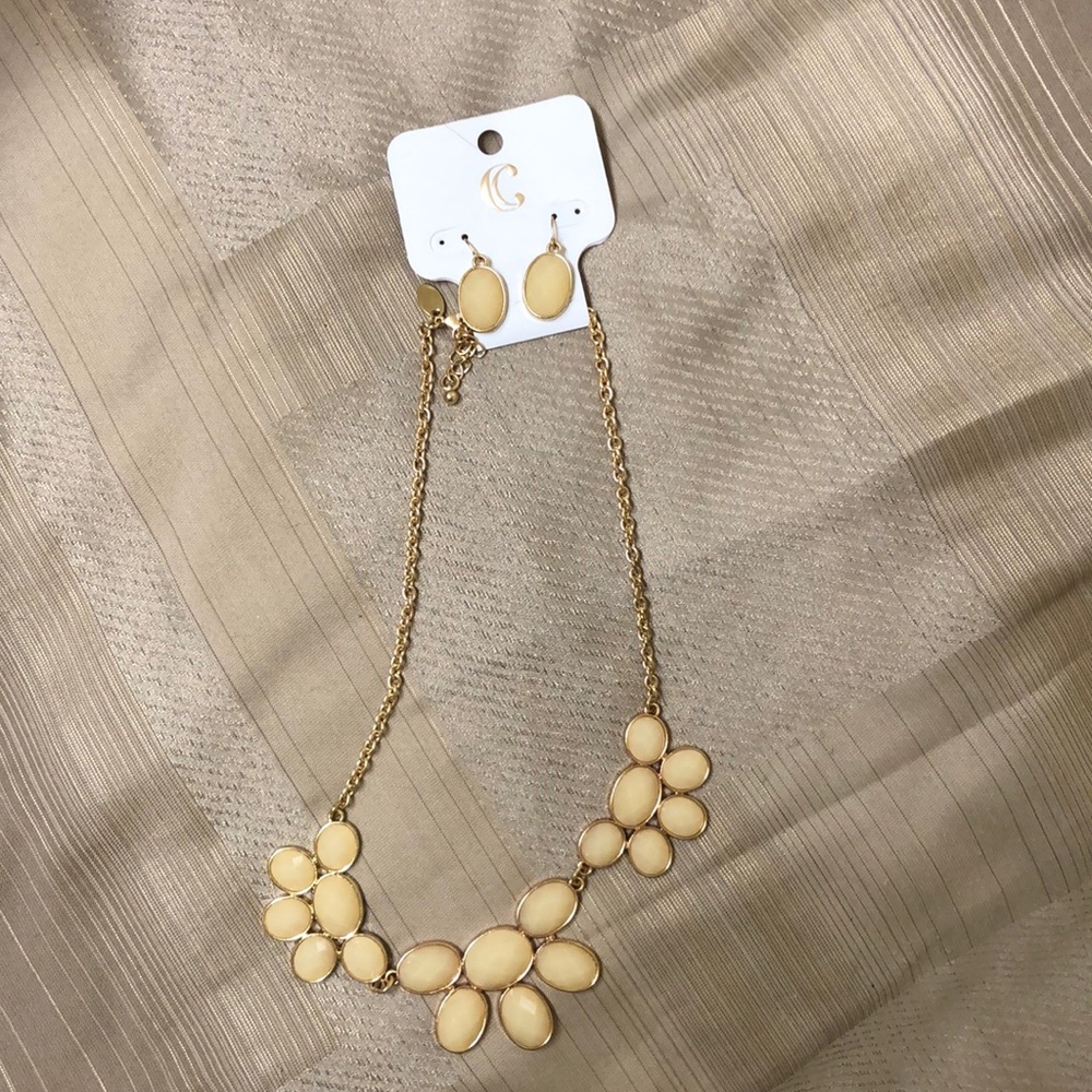 Charming Charlie Earring and Necklace set